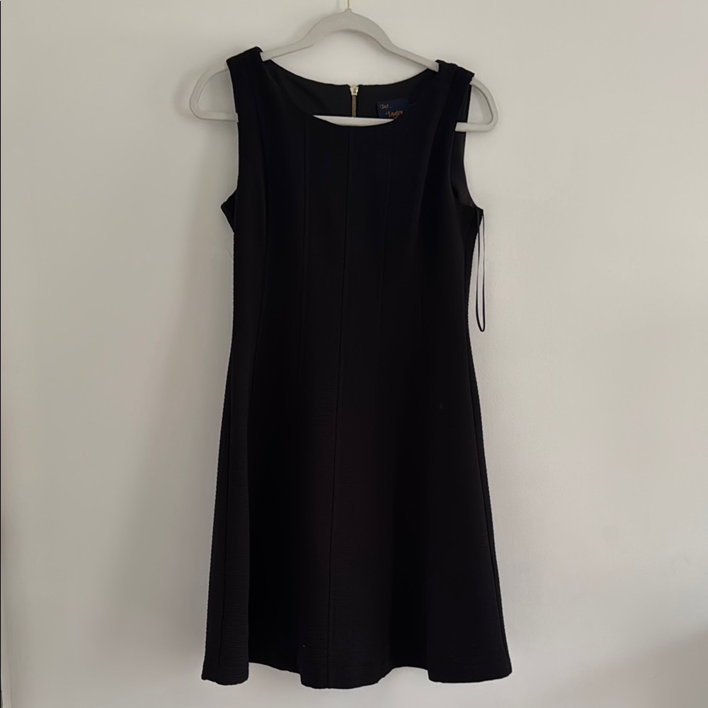 Taylor Black Sleeveless A-Line Mini Dress